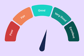 CreditInfo Score Only